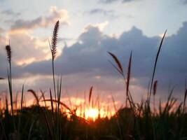 spectaculair zonsondergang over, oranje zon stijgende lijn omhoog over- de horizon foto