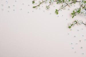 voorjaar natuur achtergrond met lief bloesem in geel pastel kleur, top visie, spandoek. lente concept. foto