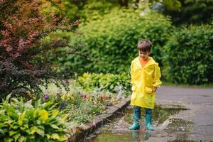 weinig jongen spelen in regenachtig zomer park. kind met paraplu, waterbestendig jas en laarzen jumping in plas en modder in de regen. kind wandelen in zomer regen buitenshuis pret door ieder het weer. gelukkig jeugd. foto