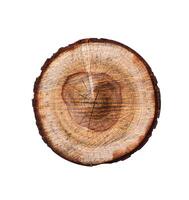ronde besnoeiing naar beneden boom met jaar- ringen net zo een hout textuur. foto