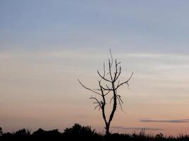 spectaculair zonsondergang over, oranje zon stijgende lijn omhoog over- de horizon foto