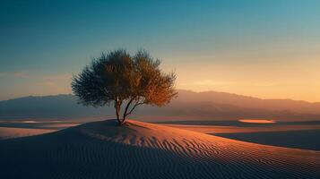 minimalistische fotograaf vastleggen de sereen schoonheid van een eenzaam boom tegen een enorm woestijn landschap Bij zonsondergang foto