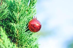 Kerstmis dag of Kerstmis decoratie , Kerstmis bal Aan pijnboom boom foto