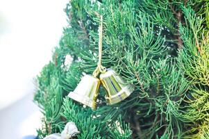 Kerstmis dag of Kerstmis decoratie , Kerstmis klok Aan pijnboom boom foto