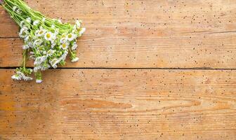 wit tuin klein kamille bloemen Aan houten achtergrond. gemakkelijk boeket Aan oud borden textuur. foto