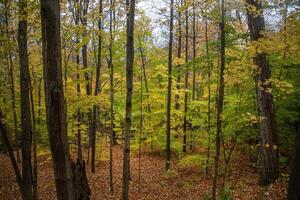 Vermont herfstkleuren foto