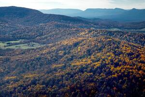 vallen in Virginia foto