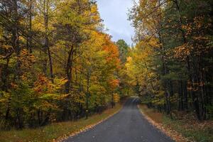 Pennsylvania vallen kleuren foto