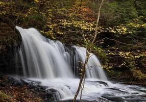 Ricketts Glen State Park foto