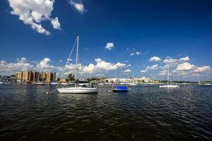 schapenkop baai jachthaven foto