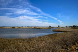 lang eiland stranden foto