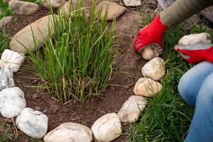 vrouw houdende uit decoratief stenen Aan een bloembed in de tuin, land leven concept foto