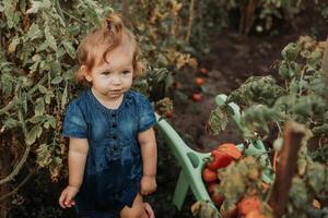 weinig meisje in jurk, rubber laarzen en een rietje hoed is water geven, irrigeren planten in de herfst tuin foto