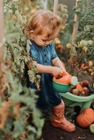 weinig meisje in jurk, rubber laarzen en een rietje hoed is water geven, irrigeren planten in de herfst tuin foto