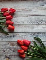 rood tulpen met bladeren liggen Aan een houten achtergrond foto