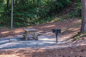 picknick tafel en rooster in de bossen foto