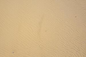 horizon veilige haven antenne kalmte vangt mooi strand zand van bovenstaande, een rustig tapijtwerk van kust- schoonheid foto