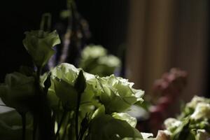 boeket wit bloemen in de zonlicht met donker achtergrond foto