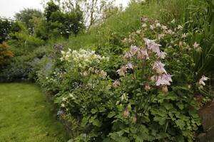 Overzicht van een tuin vol met bloemen foto