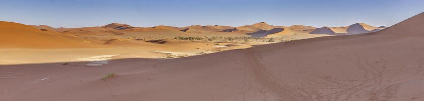panoramisch afbeelding van de rood duinen van de namib woestijn met voetafdrukken in de zand tegen blauw lucht foto