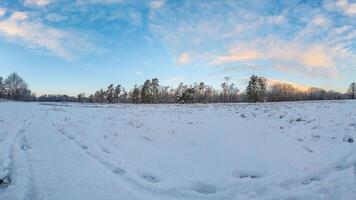 afbeelding van een met sneeuw bedekt weide in winter in de ochtend- licht foto