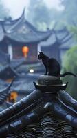 kat Aan de traditioneel Chinese gebouw foto