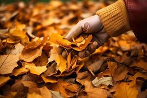 verzameling van gedaald bladeren. zijn herfst tijd. gedaald vergeeld bladeren. foto