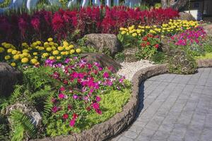 divers kleurrijk bloemen met groen planten in decoratief tuin Aan bestrating verdieping in openbaar park Oppervlakte foto