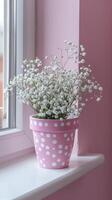 roze en wit polka punt bloem pot met baby's adem bloemen foto