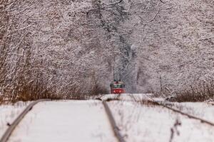 een oud tram in beweging door een winter Woud foto