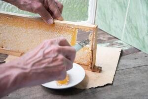 Mens bezuinigingen honingraten van een honing kader met een mes voor aan het eten voor thee, honing in honingraten is mooi zo voor de Gezondheid foto