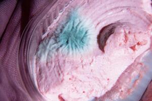 blauw gietvorm Aan roze taramasalata in pakken, overtreding van voedsel opslagruimte normen, giftig foto