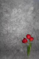 rood tulpen Aan grijs cement achtergrond minimalisme top visie, Pasen decor, voorjaar foto