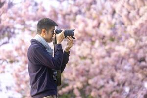 Aziatisch Mens is nemen foto terwijl wandelen in de park Bij kers bloesem boom gedurende voorjaar sakura festival met kopiëren ruimte