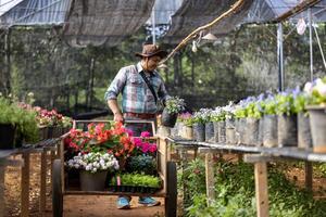 jong Aziatisch tuinman is kiezen bloeiend fabriek van de lokaal tuin centrum kinderkamer met boodschappen doen kar vol van zomer fabriek voor weekend tuinieren en buitenshuis concept foto