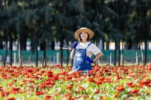 Aziatisch vrouw tuinman is werken in de boerderij Holding tuin vork tussen rood zinnia veld- voor besnoeiing bloem bedrijf met kopiëren ruimte foto