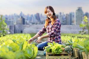 Aziatisch vrouw tuinman is oogsten organische stoffen groente terwijl werken Bij op het dak stedelijk landbouw futuristische stad duurzame tuinieren Aan beperkt ruimte naar verminderen koolstof voetafdruk en voedsel veiligheid foto