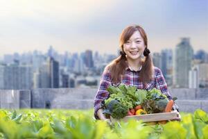 Aziatisch vrouw tuinman is oogsten organische stoffen groente terwijl werken Bij op het dak stedelijk landbouw futuristische stad duurzame tuinieren Aan de beperkt ruimte naar verminderen koolstof voetafdruk en voedsel veiligheid foto