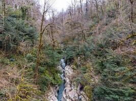 wit rotsen Ravijn aanbiedingen een top visie van de berg rivier- tussen de kliffen foto