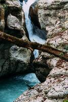 wit rots Ravijn oerwoud en berg Woud hiking, khosta rivier- langs kliffen foto