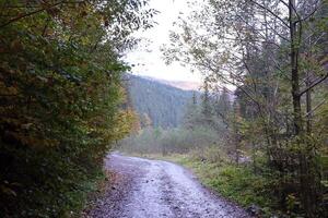 herfst landelijk landschap met bergen pieken Aan achtergrond foto