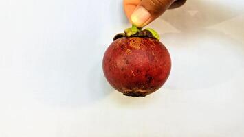 een man's hand- is Holding een mangisboom fruit Aan een wit achtergrond foto