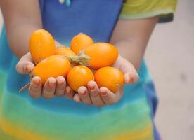 geel aubergine fruit gehouden in hand- foto