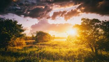 zonsondergang of zonsopkomst Aan een veld- met wild lupines en wilde bloemen en dramatisch bewolkt lucht in zomer. wijnoogst film stijlvol. foto