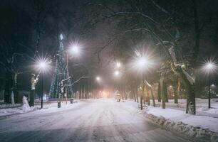 winter park Bij nacht met Kerstmis decoraties, gloeiend lantaarns en bomen gedekt met sneeuw. wijnoogst film stijlvol. foto