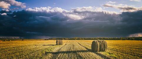 een veld- van een hooibergen Aan een herfst dag, verlichte door zonlicht, met regen wolken in de lucht. wijnoogst film stijlvol. panorama. foto