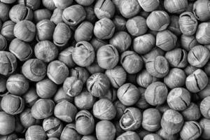 de structuur van een hoop van hazelnoten in de schelp. achtergrond van gezond fabriek veganistisch voedsel. noten. zwart en wit. foto