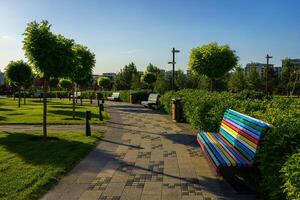 zonsondergang of dageraad in een park met besnoeiing bomen, stoep, kleurrijk bank en groen gazons. foto