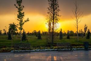 stad park in vroeg zomer of voorjaar met stoep, lantaarns, jong groen gazon, bomen en dramatisch bewolkt lucht Aan een zonsondergang of zonsopkomst. foto