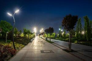 stad nacht park in vroeg zomer of voorjaar met stoep, lantaarns, jong groen gazon en bomen. foto